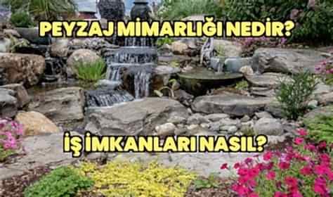 Peyzaj Mimarlığı Nedir?