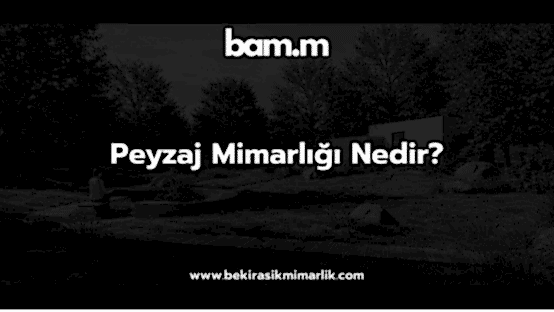Peyzaj Mimarlığı Nedir?